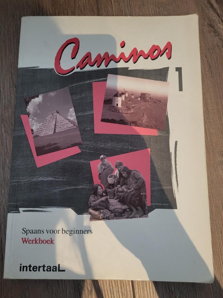 Camino's 1 Werkboek - Spaans voor beginners, Ophalen of Verzenden, Nieuw, Intertaal