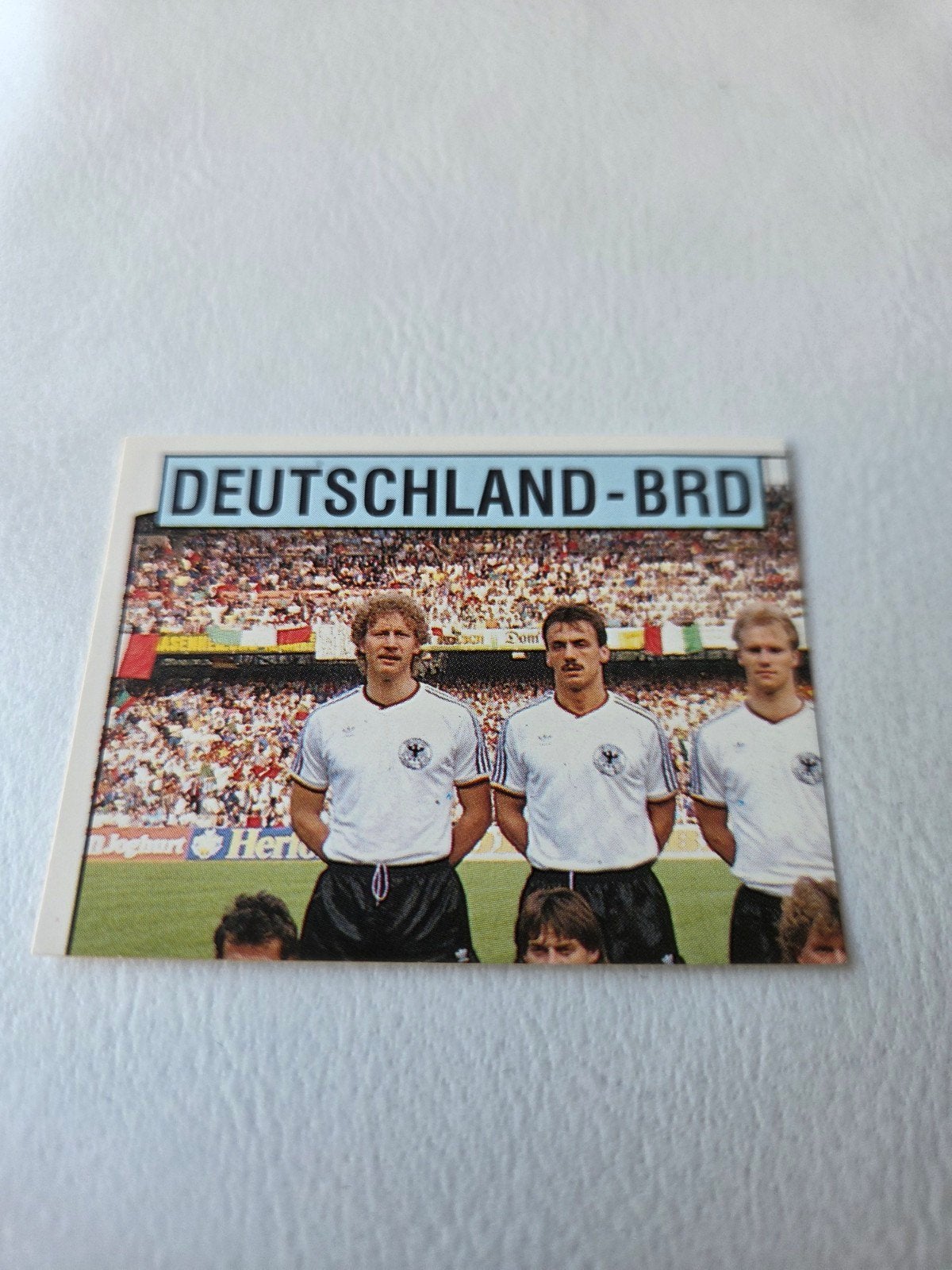 Panini EK 88, Ophalen of Verzenden, Zo goed als nieuw, Sticker