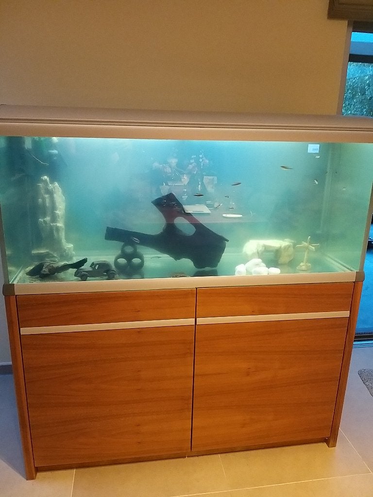 Aquarium 130b*50d*55h+kast 85h co2/led..., Ophalen, Inclusief vissen, Zo goed als nieuw, Gevuld zoetwateraquarium