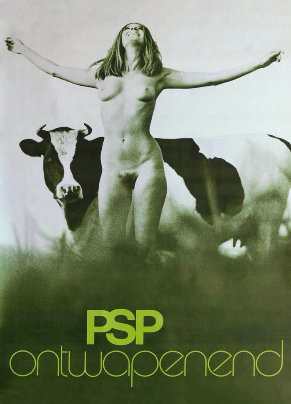 PSP Verkiezingsposter ‘Ontwapenend’ (originele afmeting), Ophalen of Verzenden, Zo goed als nieuw, A1 t/m A3, Rechthoekig Staand