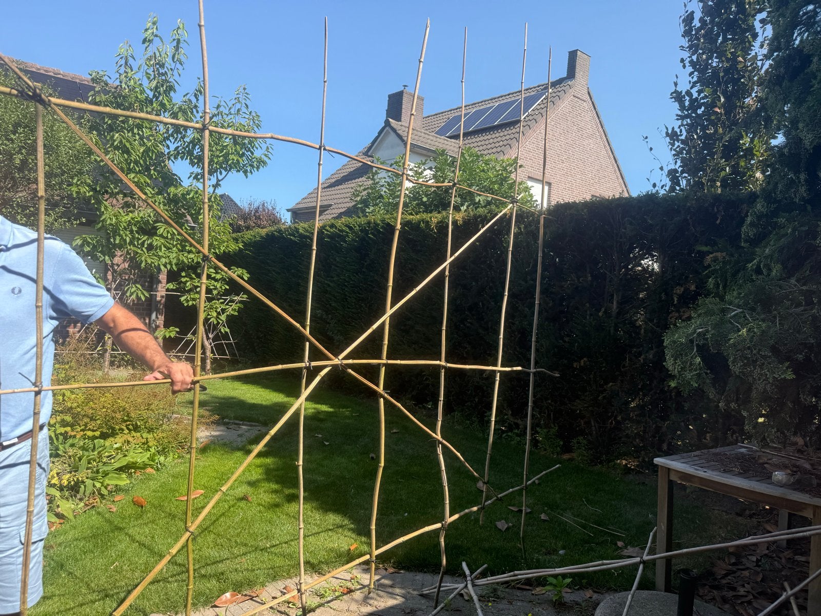 Bamboe hekwerk voor tuin of klimplanten (gratis ophalen), Tuin en Terras, Tuinhekken en Hekwerk, Ophalen, Gebruikt, Overige materialen