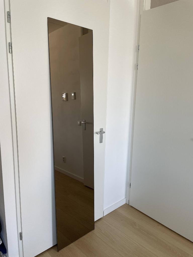 Grote spiegel brons kleur, Huis en Inrichting, Woonaccessoires | Spiegels, Ophalen, Minder dan 50 cm, Gebruikt, 200 cm of meer