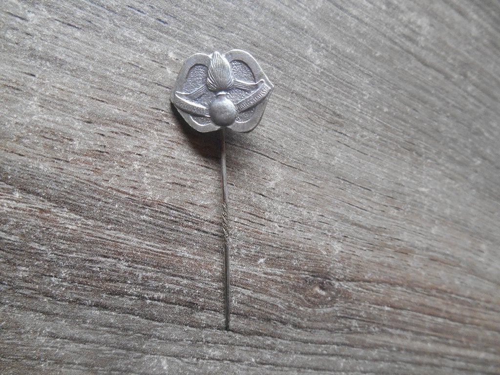 Koninklijke Marechaussee insigne KMar, Verzamelen, Ophalen of Verzenden, Marechaussee, Nederland, Overige typen