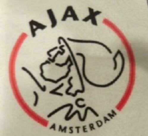 Ajax logo, Maat XS of kleiner, Ophalen of Verzenden, Zo goed als nieuw, Clubaccessoires