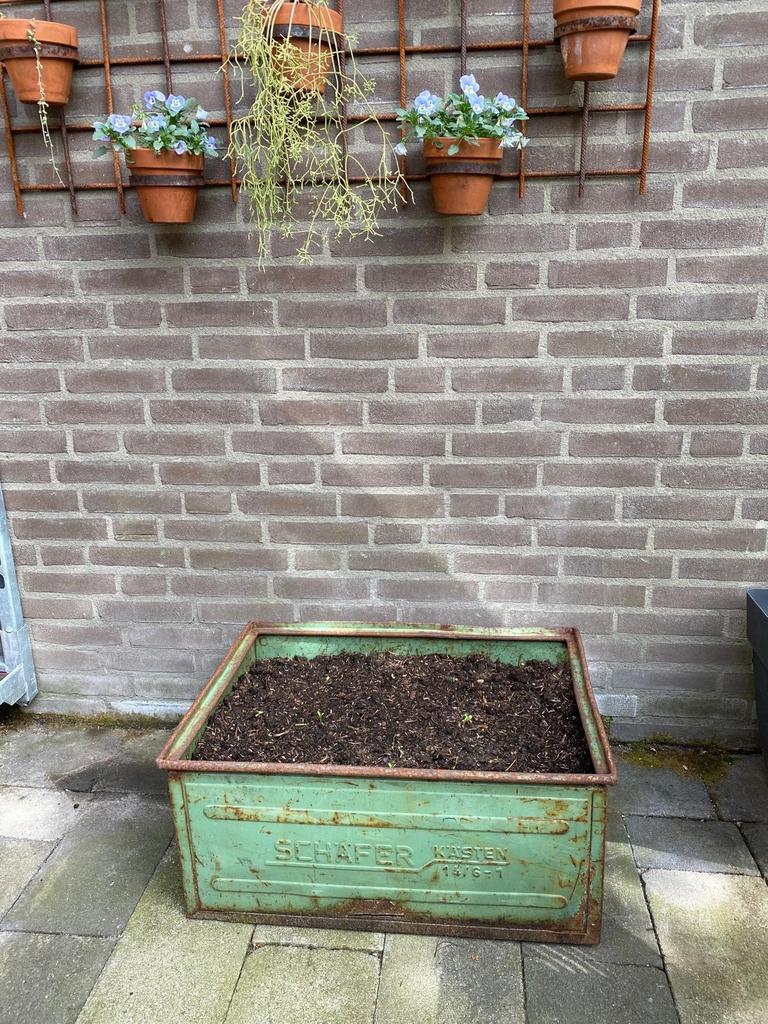 Vintage metalen bak - Schäfer kästen, Ophalen, Gebruikt, Metaal, 60 tot 100 cm