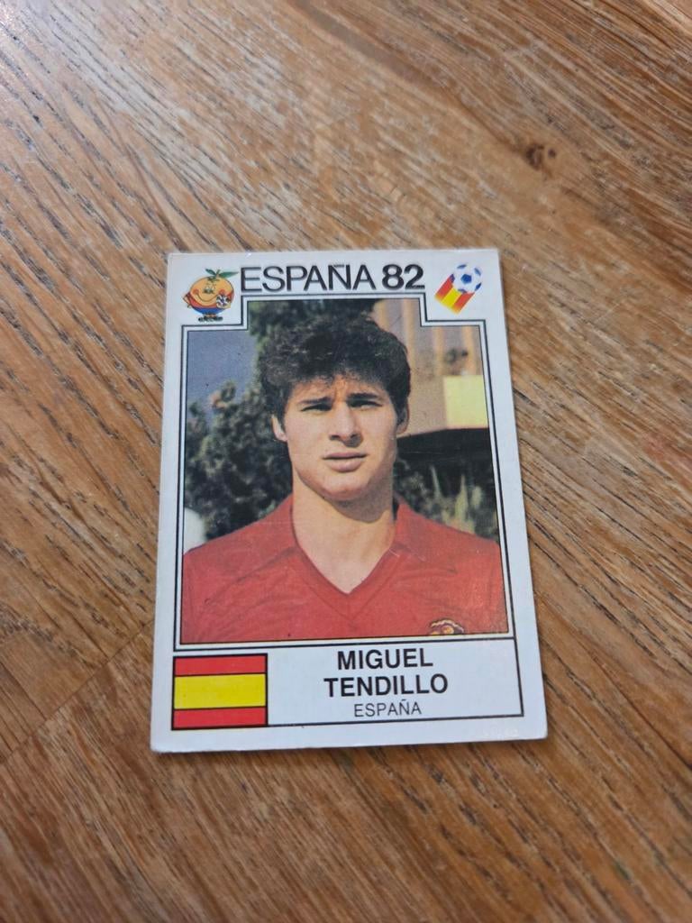 Panini WK 82, Ophalen of Verzenden, Zo goed als nieuw, Buitenlandse clubs, Poster, Plaatje of Sticker