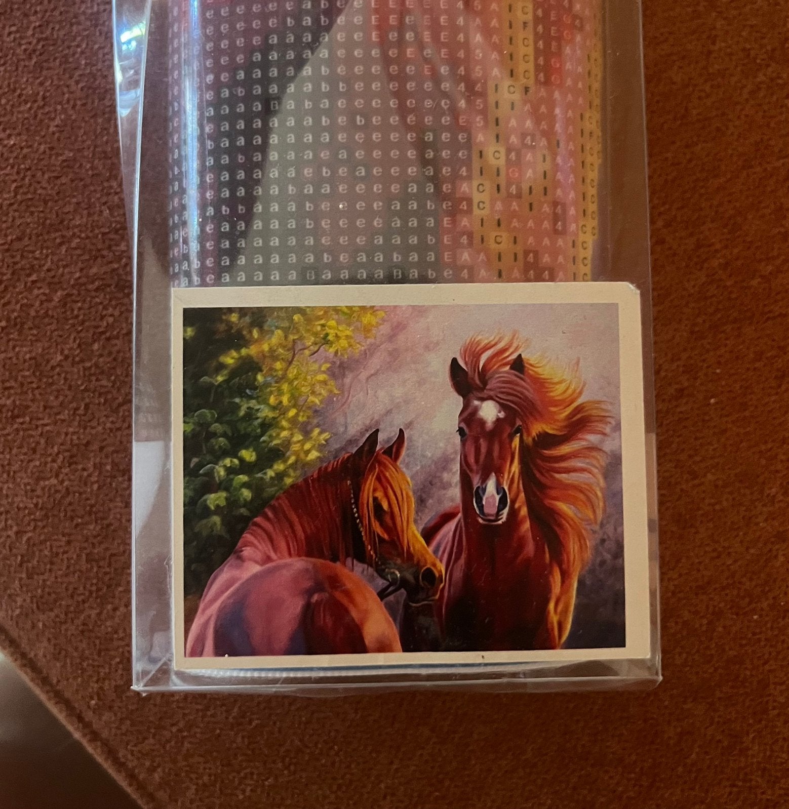 Nieuw Diamond painting canvas paarden, Ophalen of Verzenden, Zo goed als nieuw, Knutselwerk