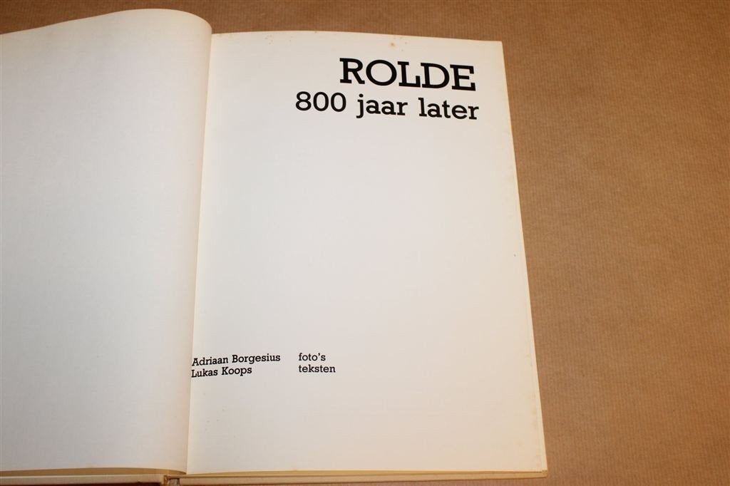 Rolde 800 Jaar Later — Dorpsgeschiedenis in Woord en Beeld, Boeken, Geschiedenis | Stad en Regio, Ophalen of Verzenden, Gelezen