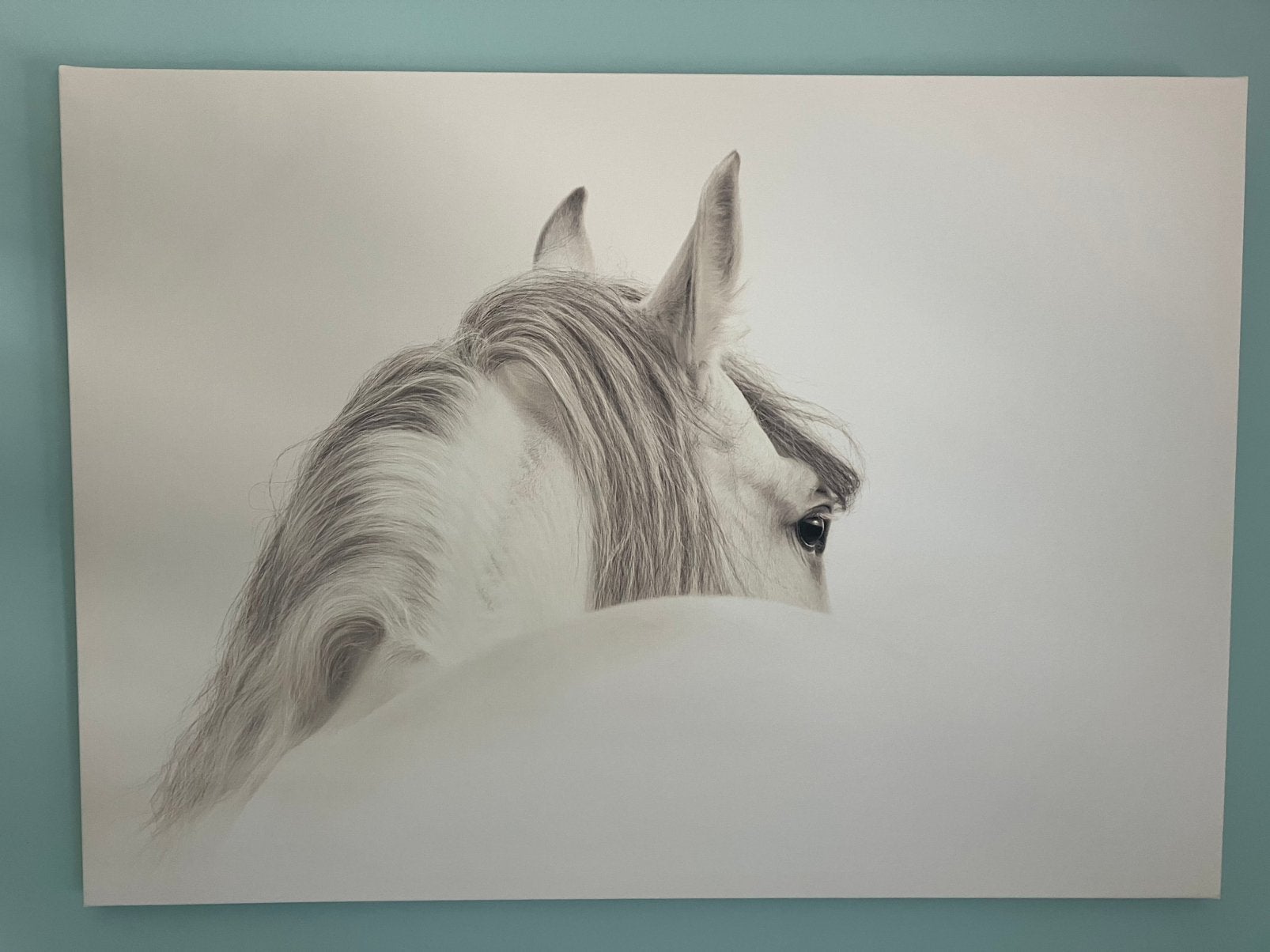 Wit / grijs canvas schilderij met paard 70x 50 cm, Ophalen of Verzenden, 50 tot 75 cm, Schilderij
