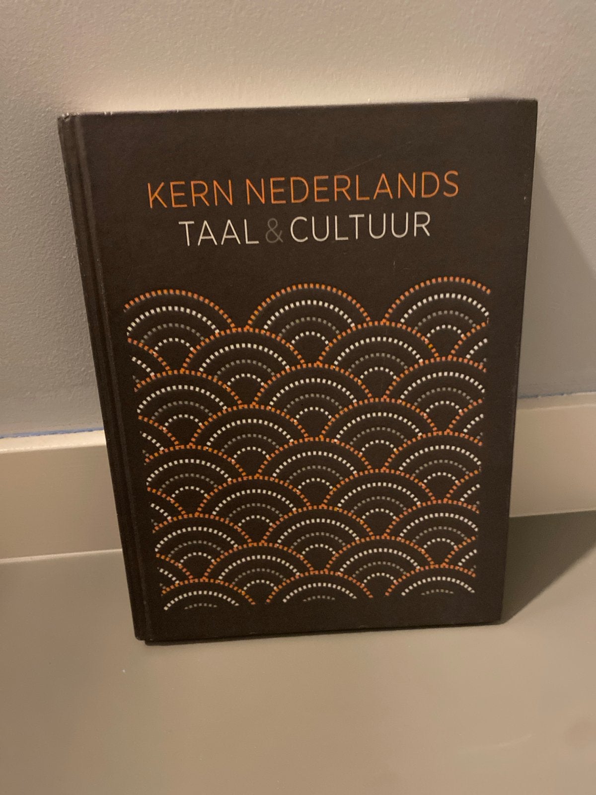 Kern Nederlands Taal & Cultuur (VWO/HAVO oefen/examenboek), Verzenden, Alpha, Nieuw, Overige niveaus