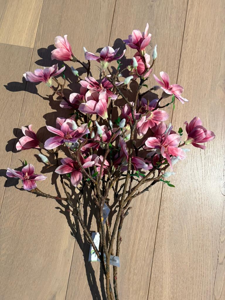 Kunsttakken Magnolia, Ophalen, Zo goed als nieuw