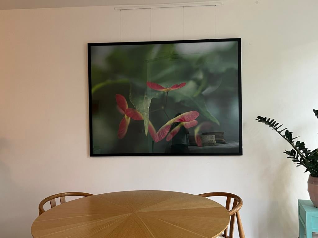 Natuurfoto in glazen lijst - 123x164cm, Ophalen