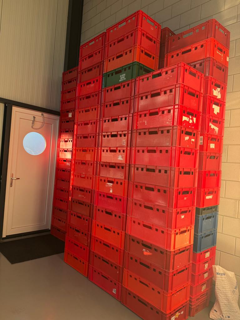 E2 vlees kratten, Ophalen, 40 tot 60 cm, 50 tot 75 cm, Minder dan 35 cm