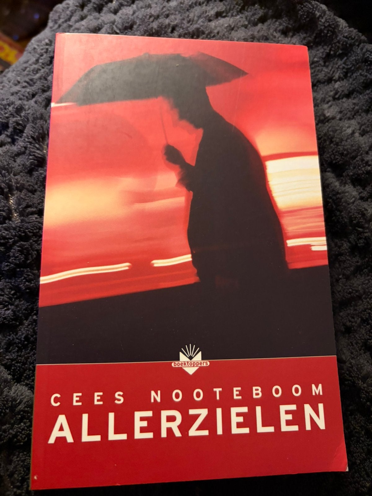 Allerzielen / Cees Nooteboom, Ophalen of Verzenden, Zo goed als nieuw