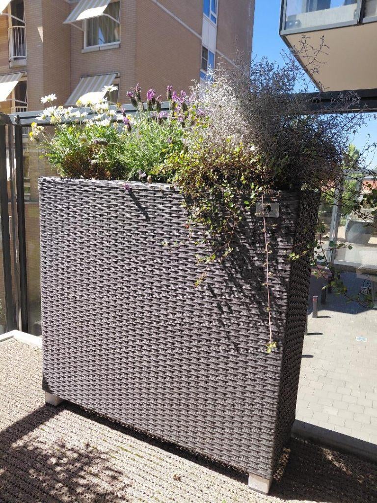 Twee maal Gartenfreude plantenbak, grijs ---zgan, Ophalen, Kunststof, Zo goed als nieuw, 60 tot 100 cm