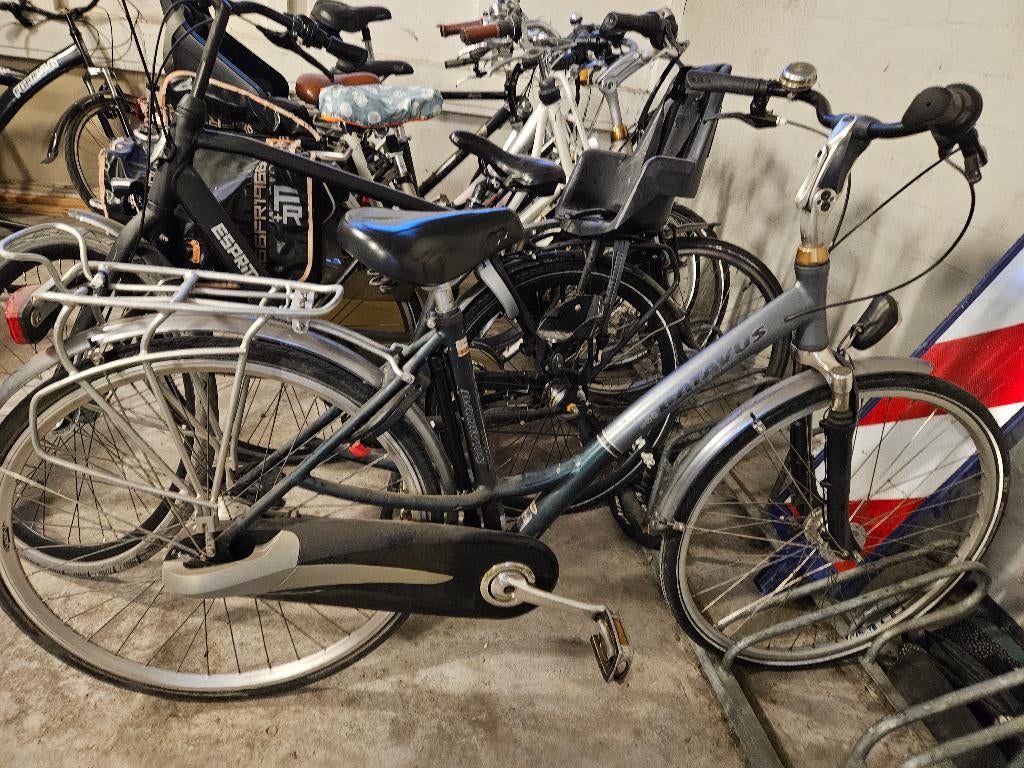 Damesfiets batavus staccato framemaat 48, 47 tot 50 cm, Ophalen, Gebruikt, Batavus