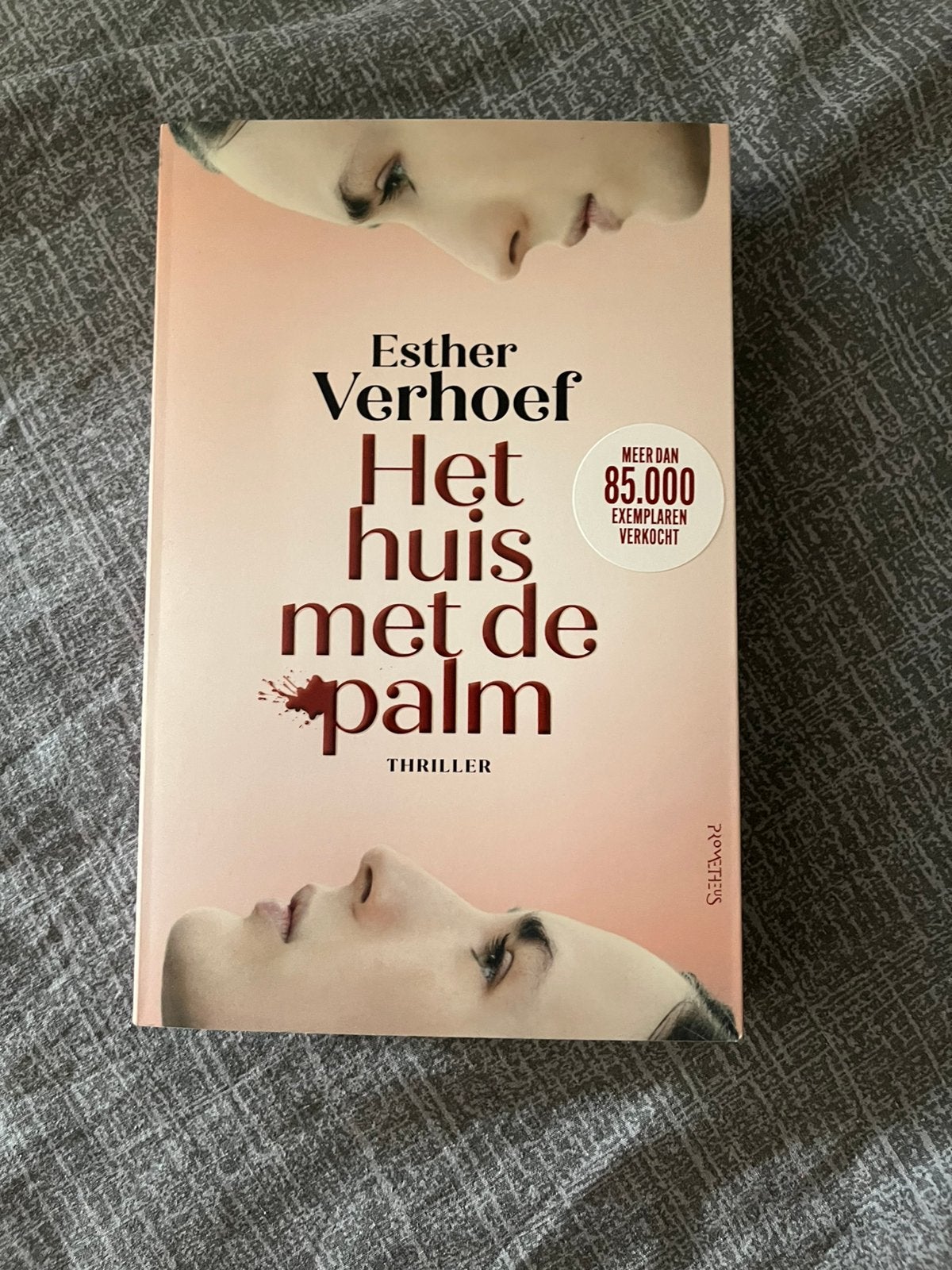 Boek, Het huis met de Palm, Ophalen of Verzenden, Nieuw