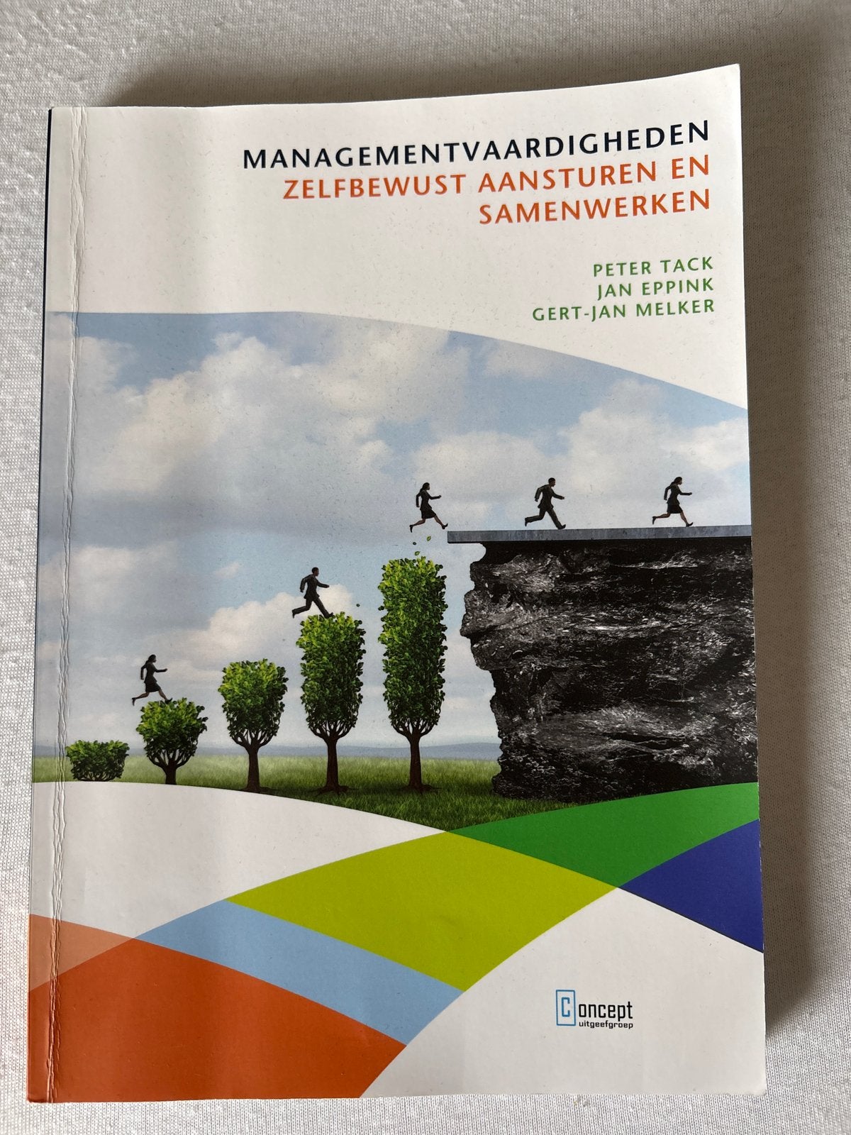 Managementvaardigheden: Zelfbewust aansturen en samenwerken, Ophalen of Verzenden, Zo goed als nieuw, Management