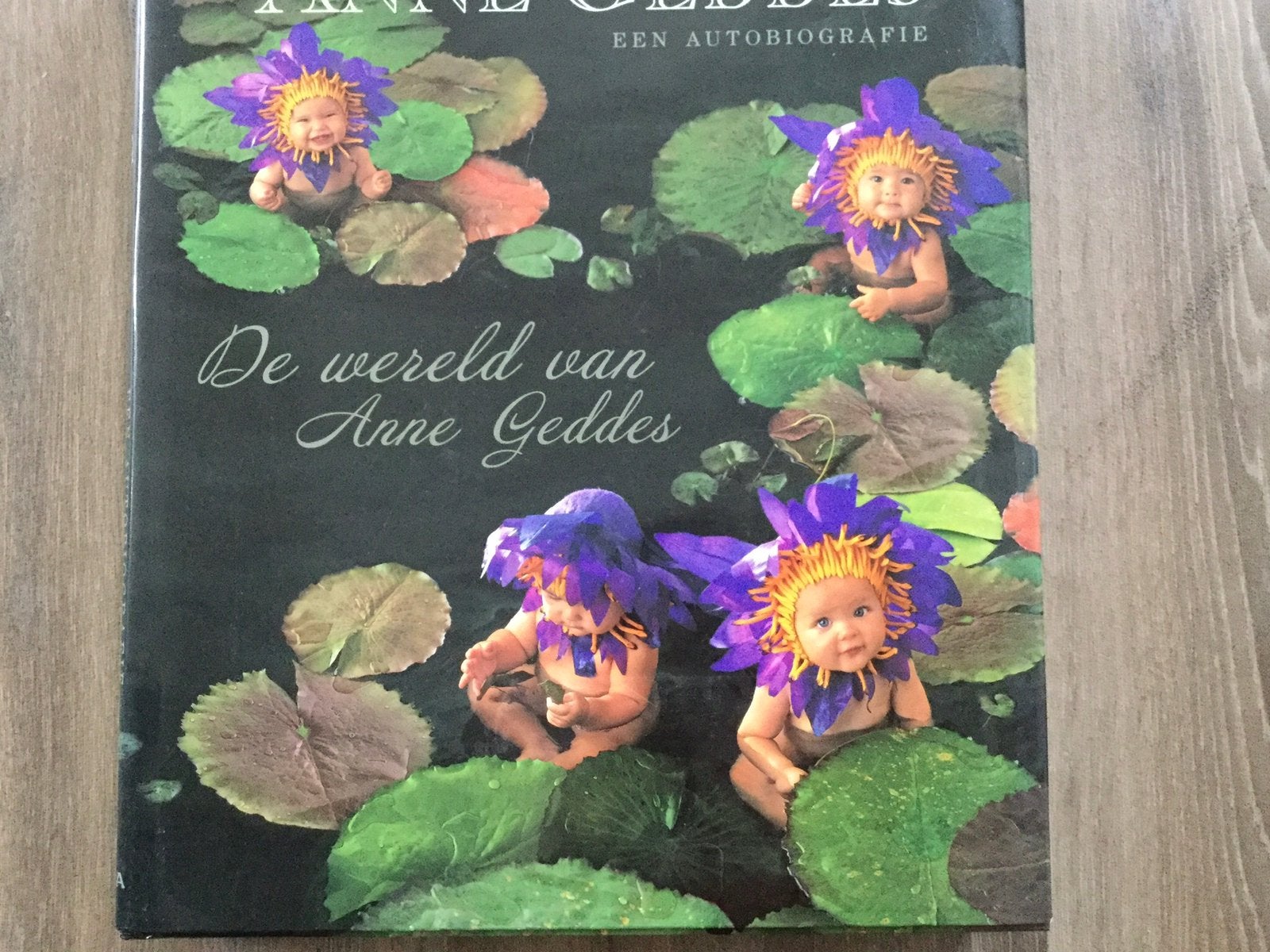 De wereld van Anne Geddes, Ophalen of Verzenden, Zo goed als nieuw