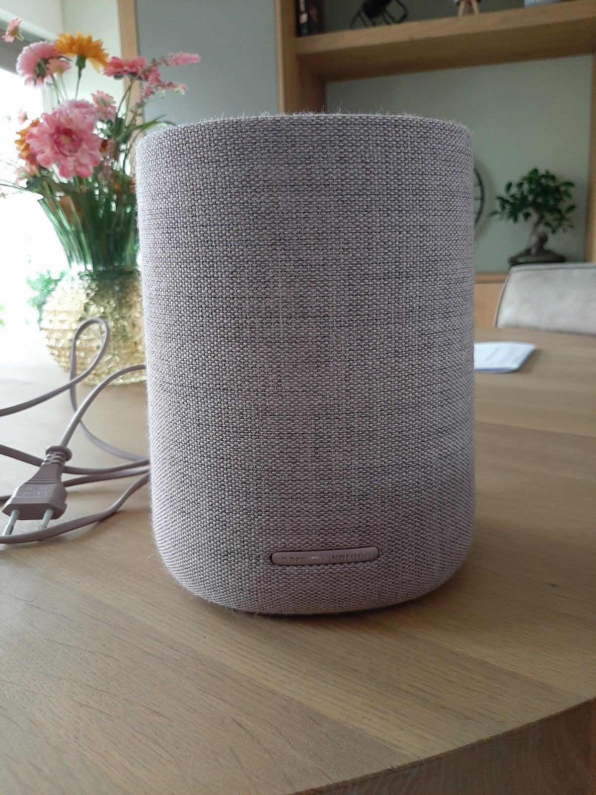 Harman Kardon Citation One Speaker met Google Home