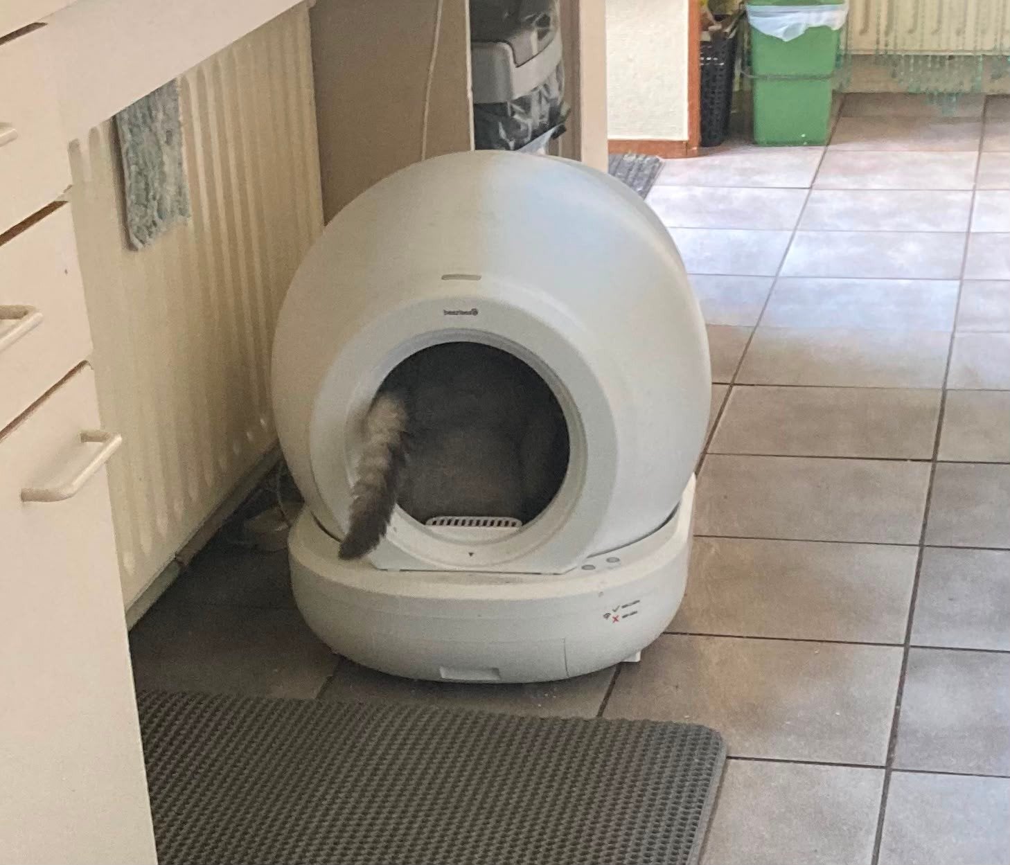 elektrische kattenbak, Dieren en Toebehoren, Kattenbakken, Ophalen, Zo goed als nieuw