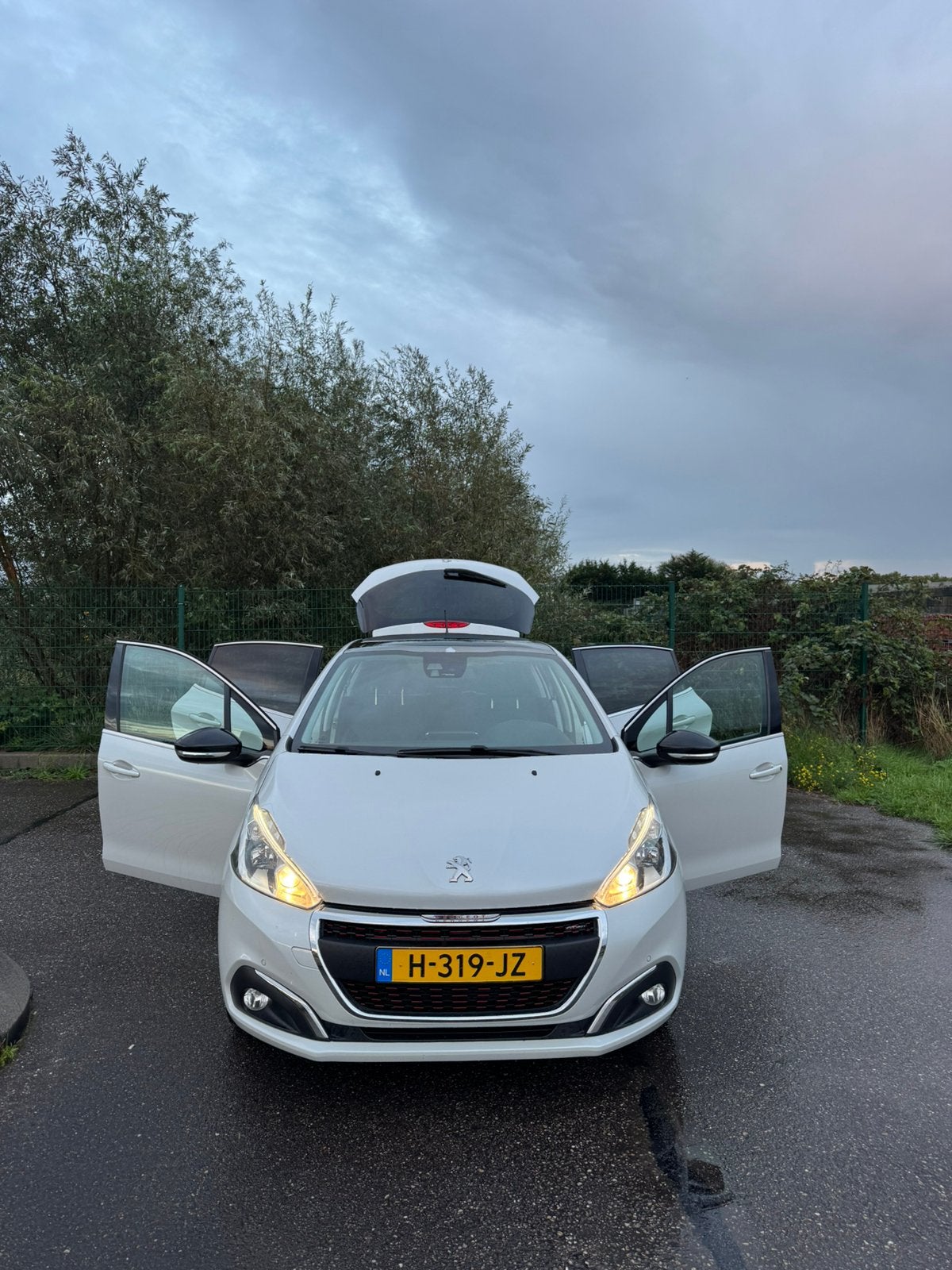 Peugeot 208