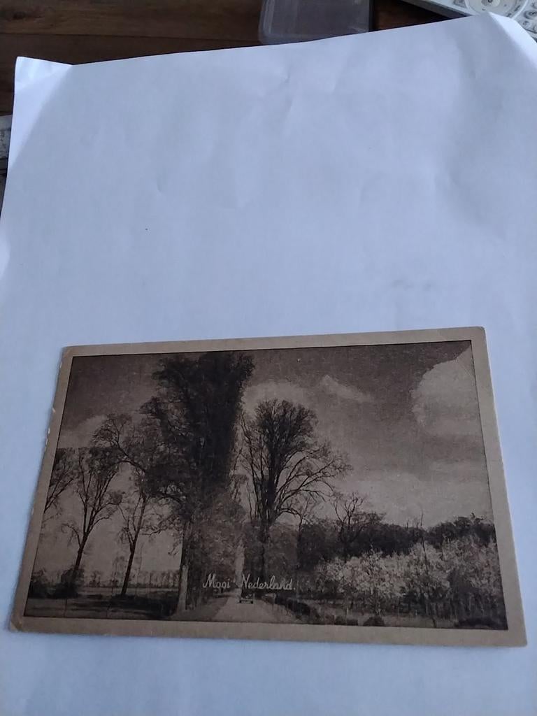 MOOI. NEDERLAND, Ophalen of Verzenden, Voor 1920, Gelderland