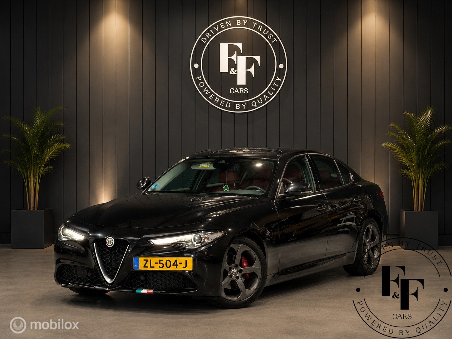 Alfa Romeo Giulia 2.2 Super|Automaat|Leder|Harman Kardon|Cam, Automaat, 745 kg, Euro 6, 4 cilinders