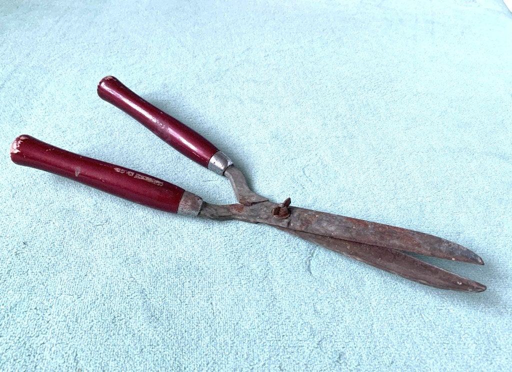 Heggenschaar - snoeischaar - vintage - jaren '50, Antiek en Kunst, Ophalen of Verzenden