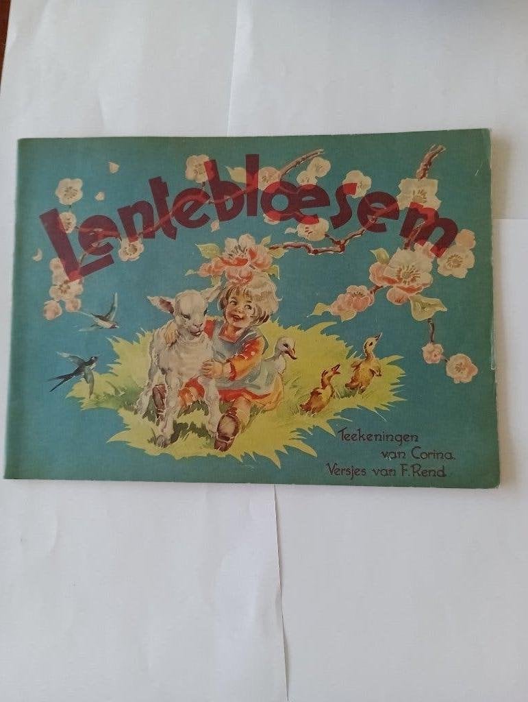 teekeningen v Corina LENTEBLOESEM SNEEUWVLOKKEN HERFSTBLADEN, Boeken, Kinderboeken | Jeugd | onder 10 jaar, Gelezen, Fictie algemeen