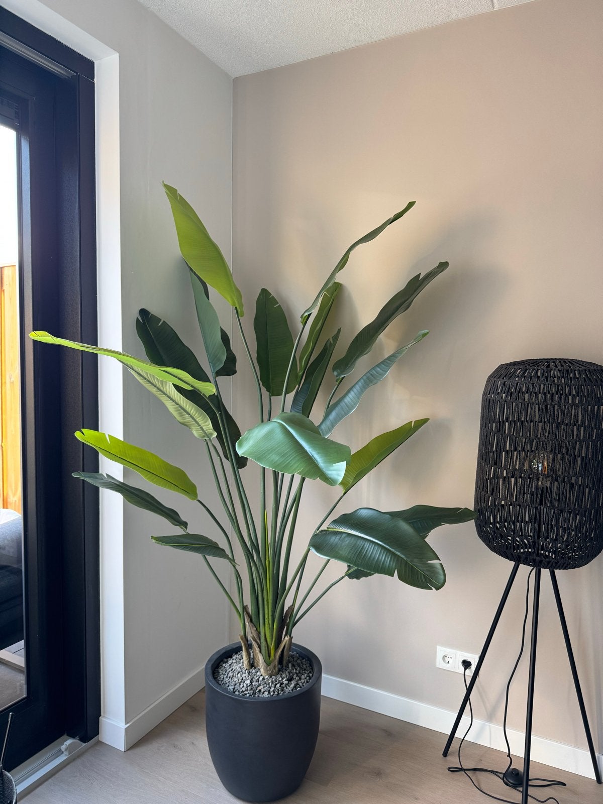 Grote Neppe Strelitzia Nicolai Kunstplant van PrettyPlants, Binnen, Groen, Kunstplant, Zo goed als nieuw