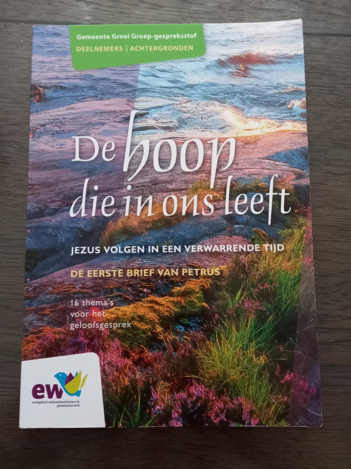 Harald Overeem - De hoop die in ons leeft 2, Ophalen of Verzenden, Zo goed als nieuw, Christendom | Protestants, Harald Overeem; Peter Smilde; Pieter Both; Harry Klaassens