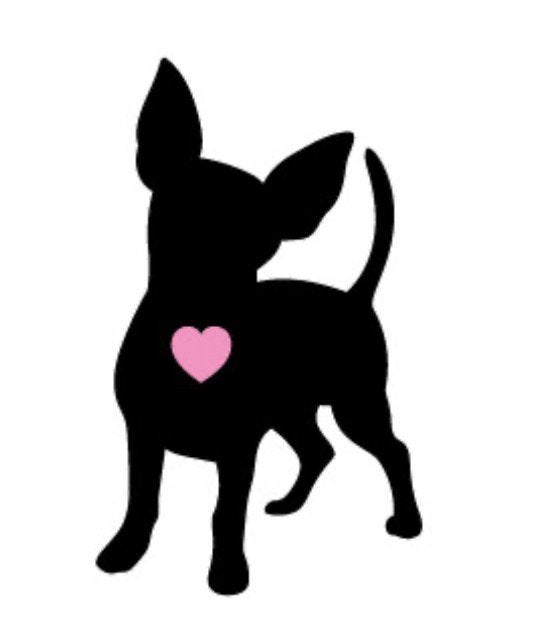 Prague Ratter / Prazsky Ratller, Dieren en Toebehoren, Geslacht onbekend, Eén hond, Chihuahua, 3 tot 5 jaar