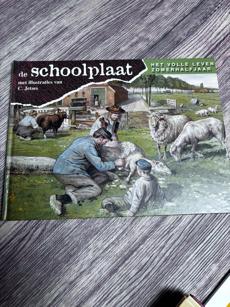 Schoolplaten boekje, Verzamelen, Ophalen, 1960 tot 1980, Kinderen