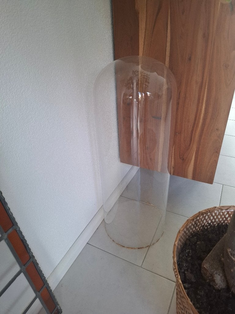 Grote glazen stolp - voor porseleine pop of religieus beeld, Ophalen