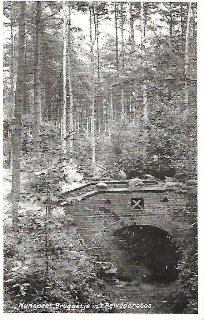 Nunspeet- -Bruggetje in 't Belvéderebos., Verzenden, 1960 tot 1980, Gelopen, Gelderland