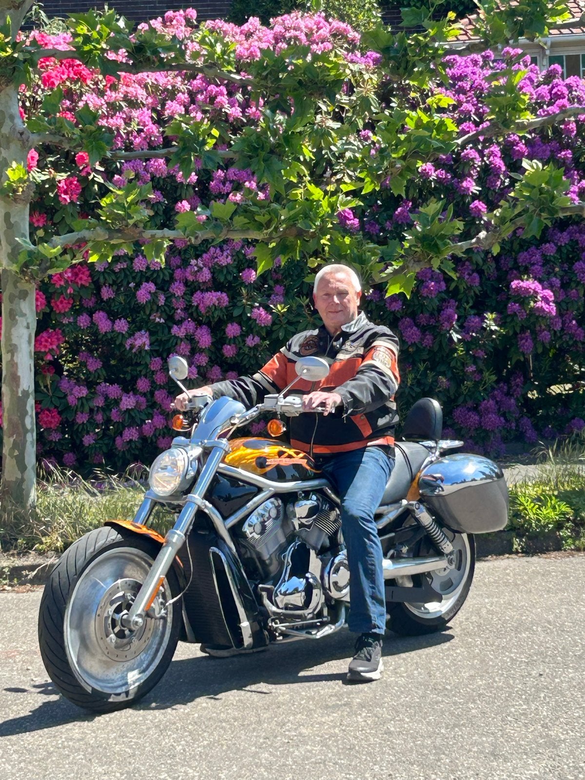 Harley-Davidson V-Rod met custom vlammen en zijtassen, Motoren, Motoren | Harley-Davidson, 2 cilinders, Gebruikt, Particulier