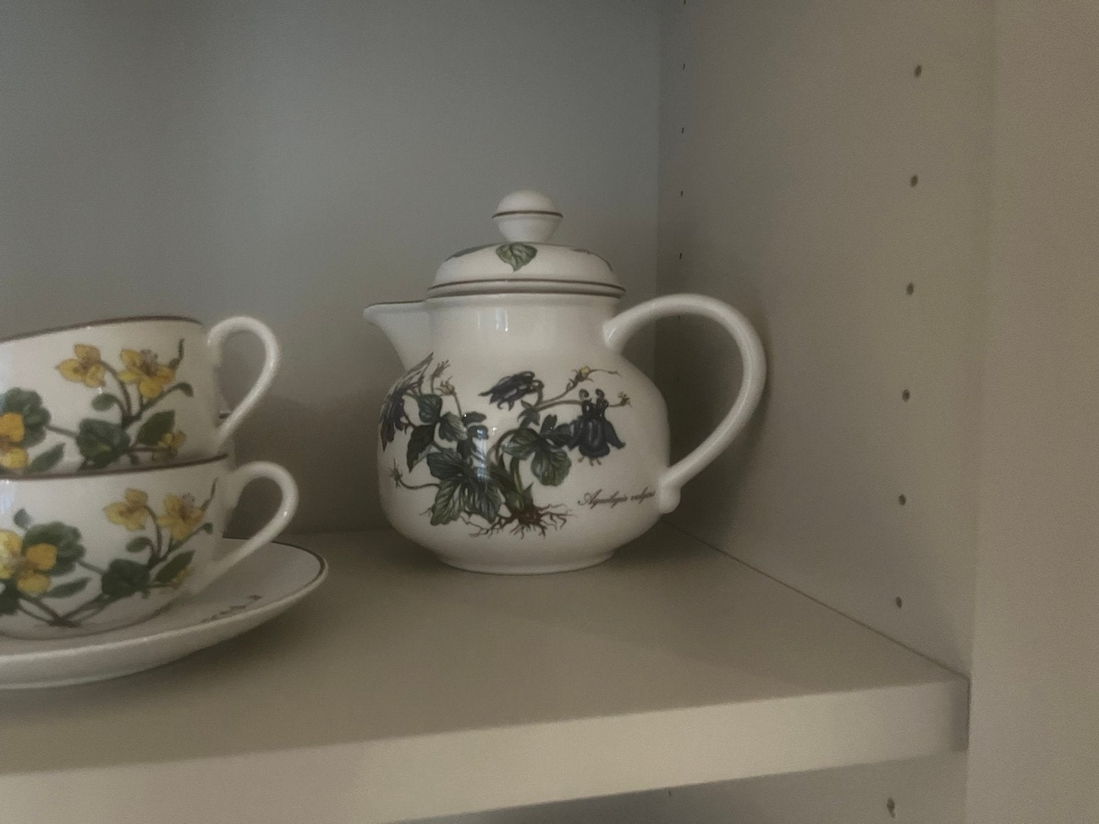Theepot, Ophalen of Verzenden