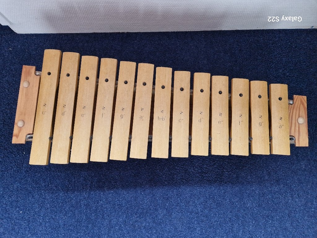 Xylofoon, Muziek en Instrumenten, Percussie, Ophalen of Verzenden, Gebruikt, Melodische percussie