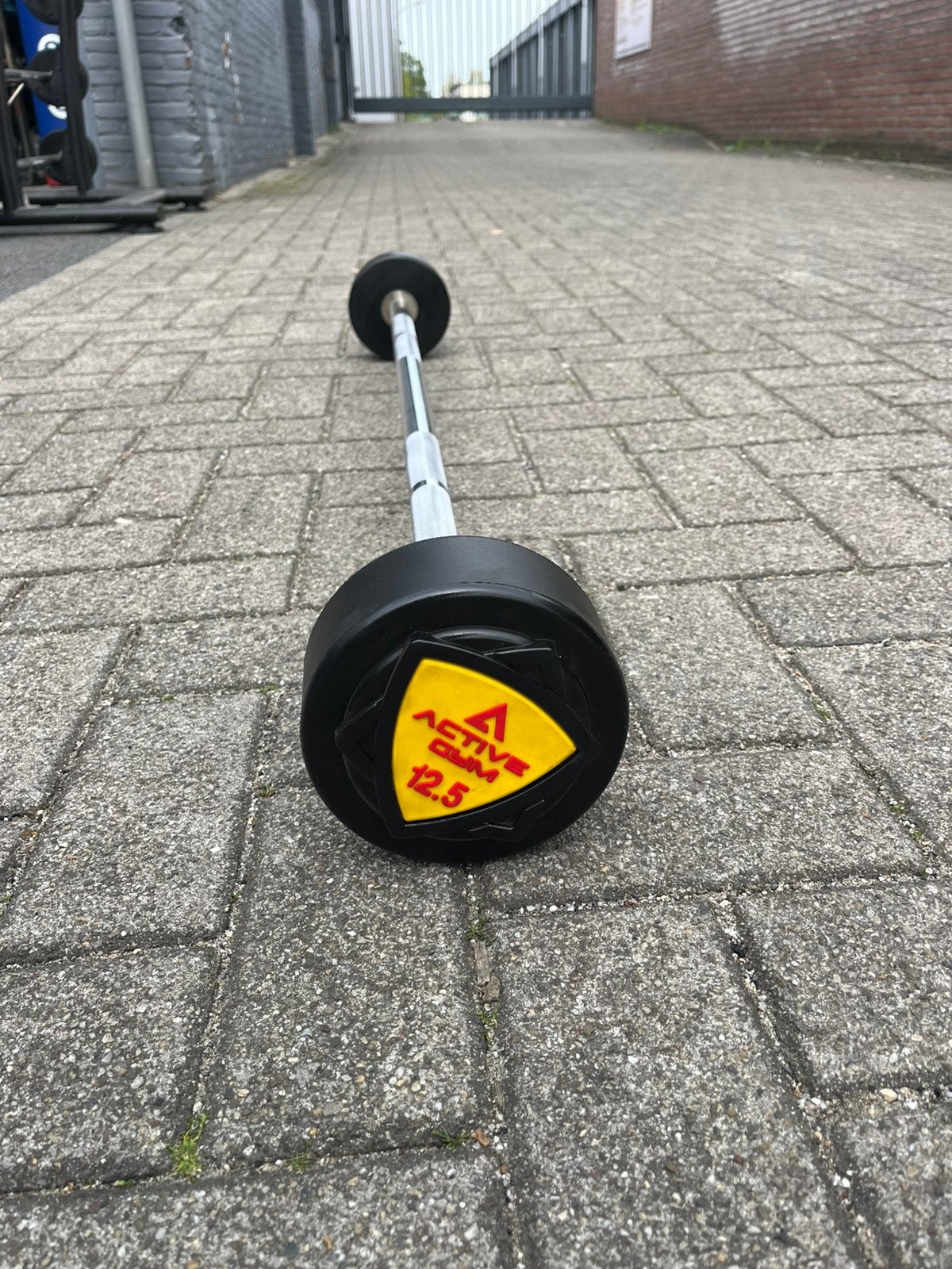Vaste halter stang 12,5 kg, 12,5 kg, Vaste halter stang, Halterstangen, Active gym
