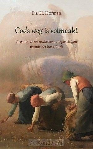Ds. H. Hofman: Gods weg is volmaakt, Ophalen of Verzenden, Zo goed als nieuw, Ds. H. Hofman, Christendom | Protestants