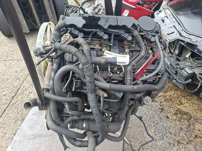 Motor van een Ford Transit, Gebruikt, -, -, Ophalen of Verzenden