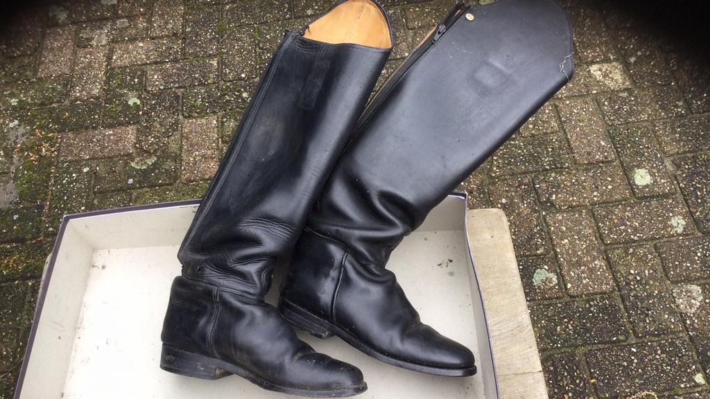 Rijglaarzen maat 41  lipica, Ophalen, Dressuur, Schoeisel