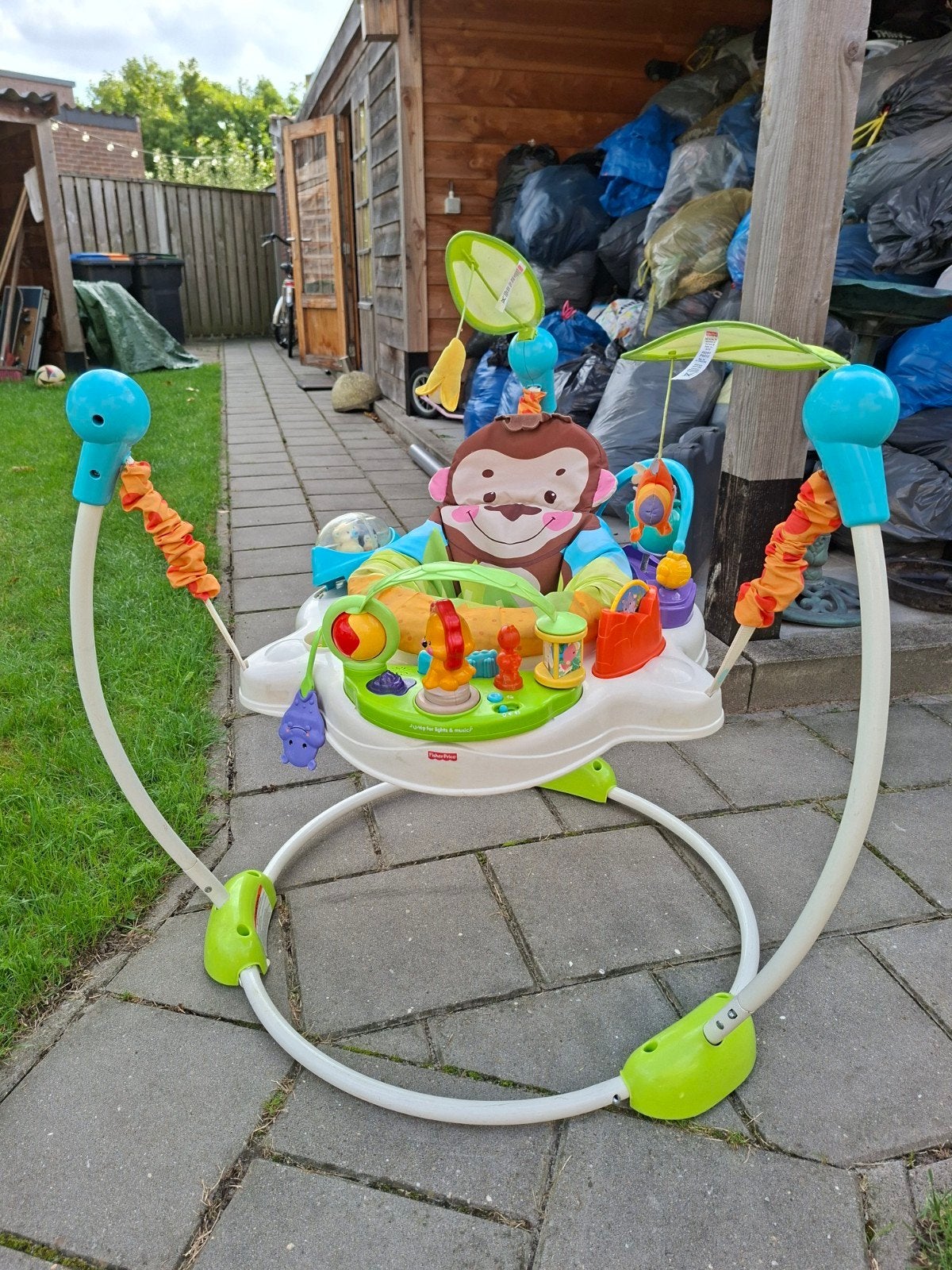 Fisher-Price Precious Planet Jumperoo, Kinderen en Baby's, Overige typen, Ophalen of Verzenden, A, A