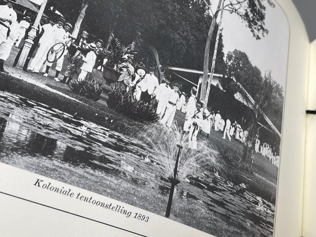 BATAVIA Koningin van het Oosten (1976) Ned. Indië, Boeken, Ophalen of Verzenden, 20e eeuw of later, Zo goed als nieuw