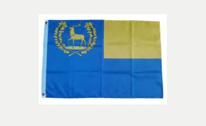 Grote vlag Epe (150x90cm), Ophalen of Verzenden, Nieuw