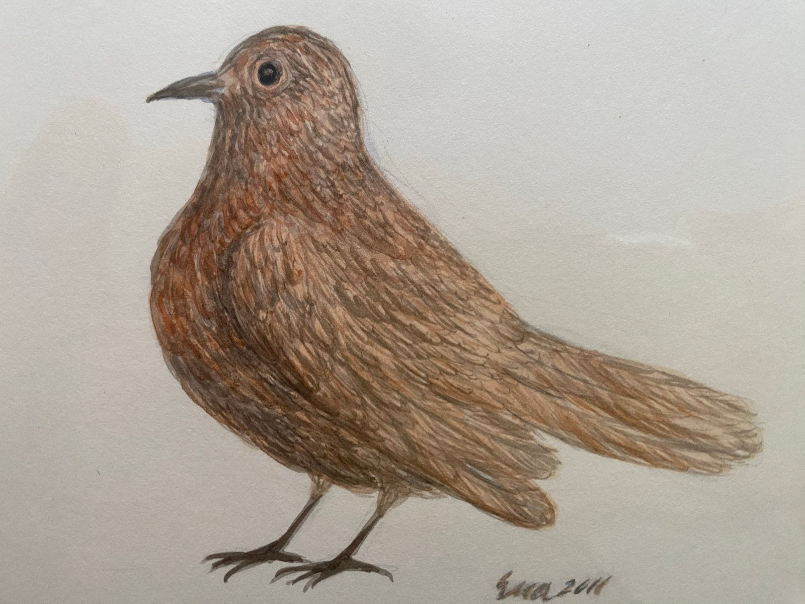 Prachtige gesigneerde aquarel van een merel met passe-partou, Ophalen of Verzenden, Tekening, Aquarel, Gesigneerd