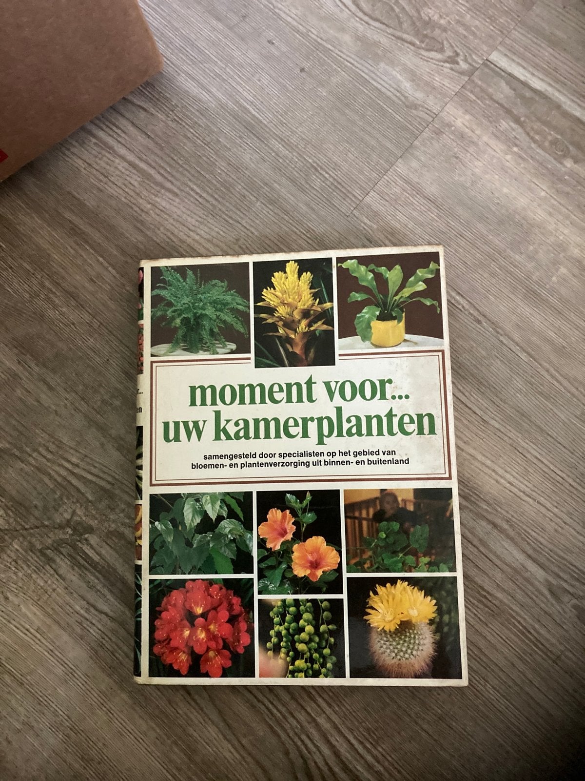 Moment voor... uw kamerplanten - Douwe Egberts uitgave, Ophalen of Verzenden, Gelezen, Kamerplanten