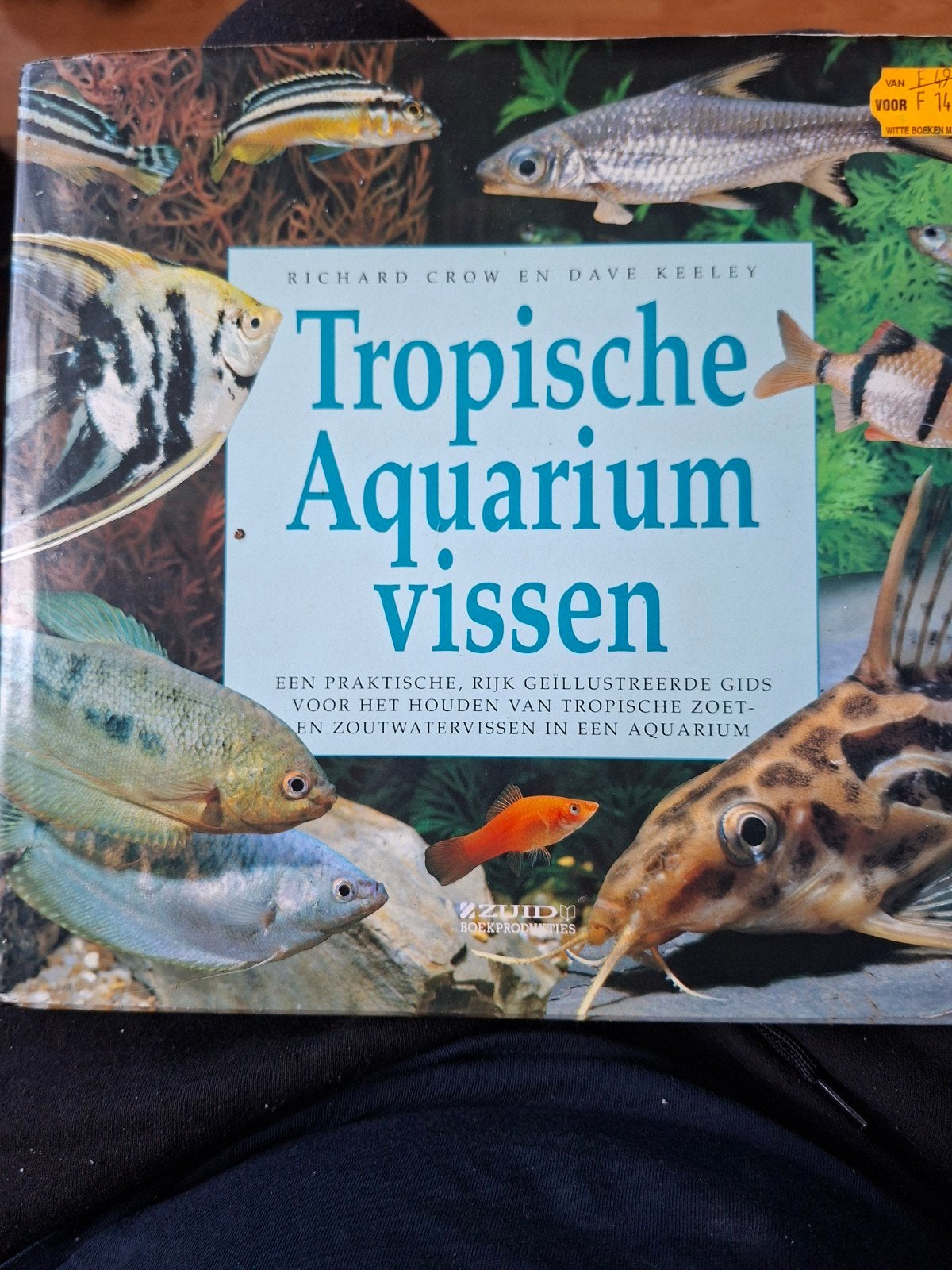 Tropische Aquariumvissen Gids voor zoet- en zoutwatervissen, Ophalen of Verzenden, Gelezen, Overige onderwerpen, Richard Crow en Dave Keeley