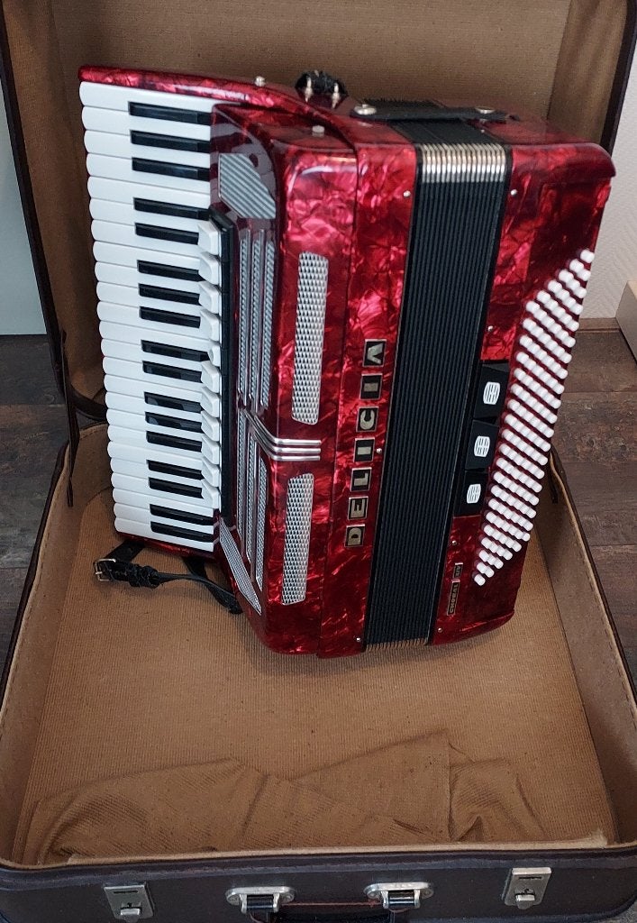 Accordeon, Muziek en Instrumenten, Ophalen, Gebruikt, Met koffer, Delicia